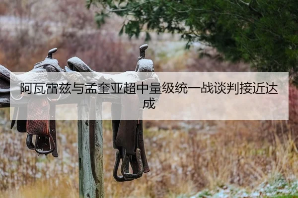 阿瓦雷兹与孟奎亚超中量级统一战谈判接近达成