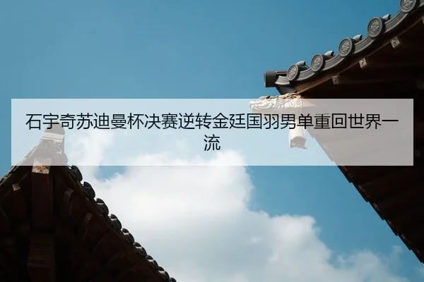 shi-yu-qi-su-di-man-bei-jue-sai-ni-zhuan-jin-ting-guo-yu-nan-dan-zhong-hui-shi-jie-yi-liu-2-449.jpg