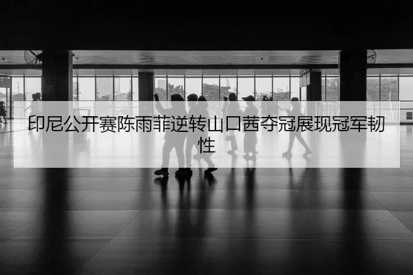 印尼公开赛陈雨菲逆转山口茜夺冠展现冠军韧性