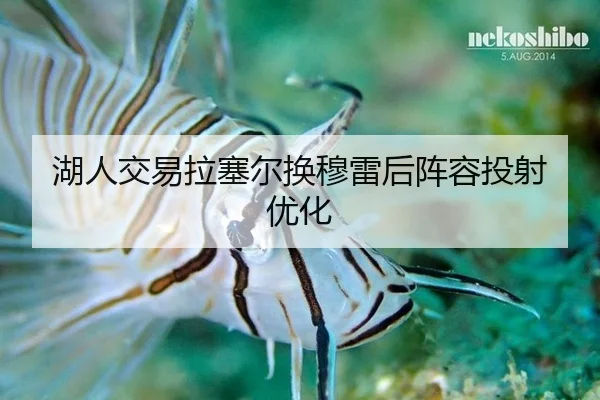 湖人交易拉塞尔换穆雷后阵容投射优化